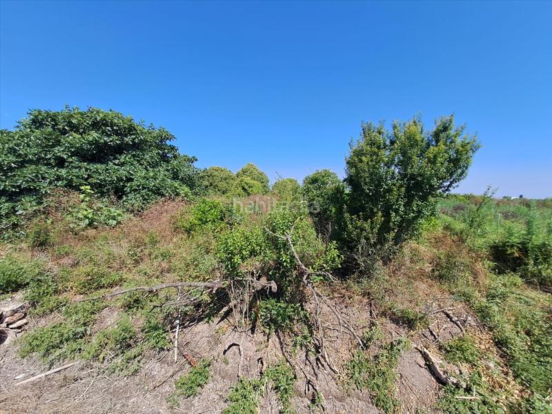 Foto ad6703ed-0470-4e65-a5ca-01f5a191aae2. Terreno residenziale in Chilches