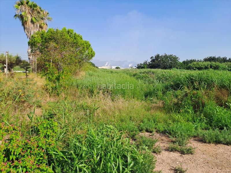 Foto de51b29f-bfab-42ae-86e6-72a1f49cd926. Terreno residencial en Chilches