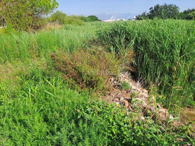 Foto 313d25bd-5e20-47fc-943d-332caa788e67. Terreno residenziale in Chilches