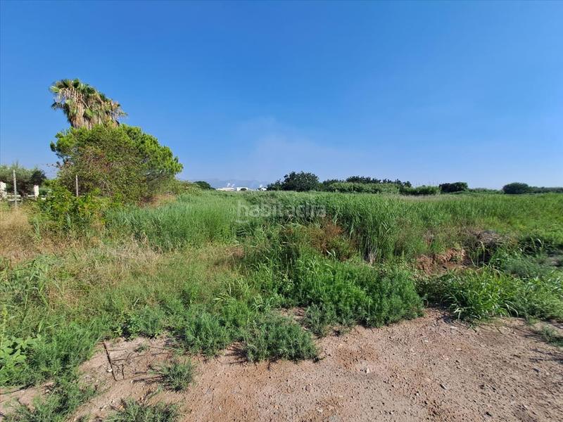 Foto 58462103-2c72-4074-ac89-c8bb14338a27. Terreno residenziale in Chilches