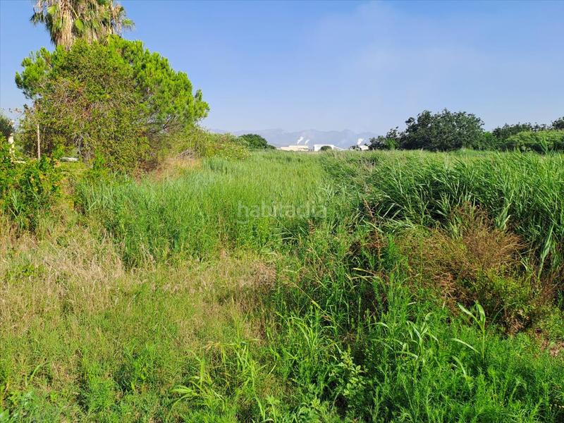 Foto d5537a56-4dd2-4f23-8cb6-dfb63e93bddb. Terreno residenziale in Chilches