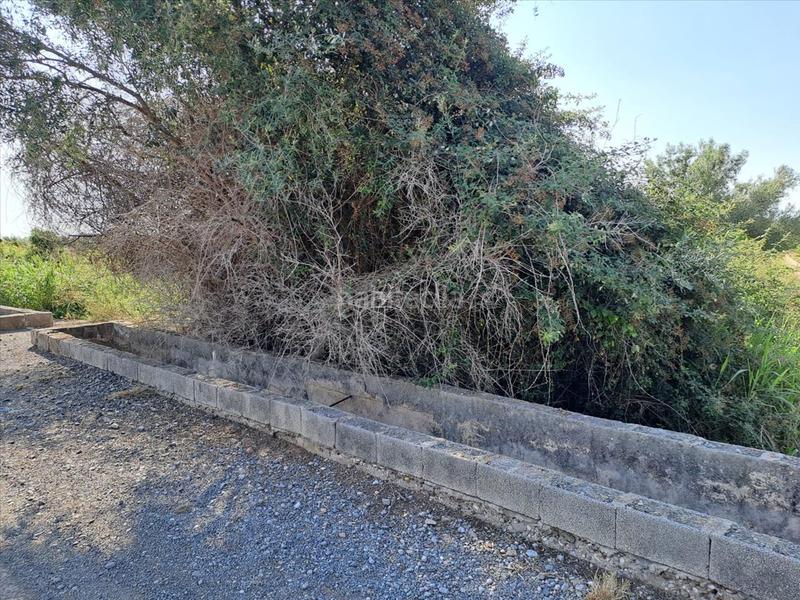 Foto 28c5383c-da84-4661-acd1-29e27e5890d3. Terreno residencial en Chilches