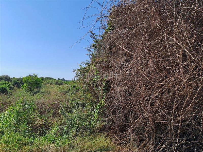 Foto 768f6a24-3dc4-4ff1-9f71-97283f07dba0. Terreno residenziale in Chilches