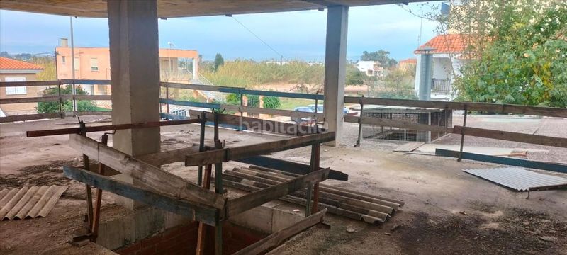 Foto 21ffdf43-6f2b-45eb-ba22-3b99affd9d58. Pis a Nules