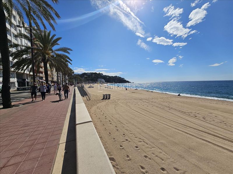 Foto b0f9830e-2154-4bff-afb4-d974f590d60e. Terreny residencial a Centre Lloret de Mar