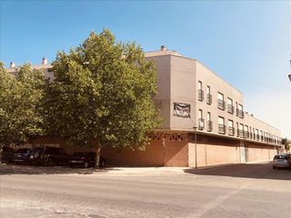 Local Comercial  Daimiel