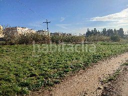 Foto f2a12b14-e7f8-4211-b15a-6f7191be5c80. Terreny residencial a Poble Nou-Olivar Gran Figueres