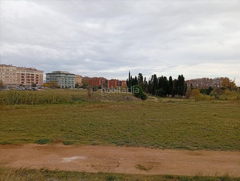 Foto 5b4eddcb-34b6-4a2f-9ea7-30ff98229727. Residential plot in Poble Nou-Olivar Gran Figueres