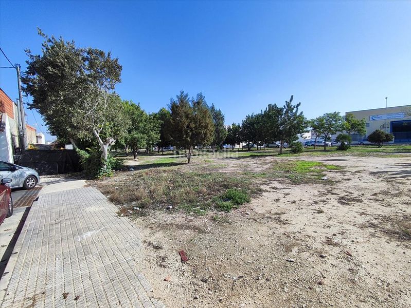 Foto 050a1e06-0624-4cab-b5b8-8556137542f7. Pis a Almoradí