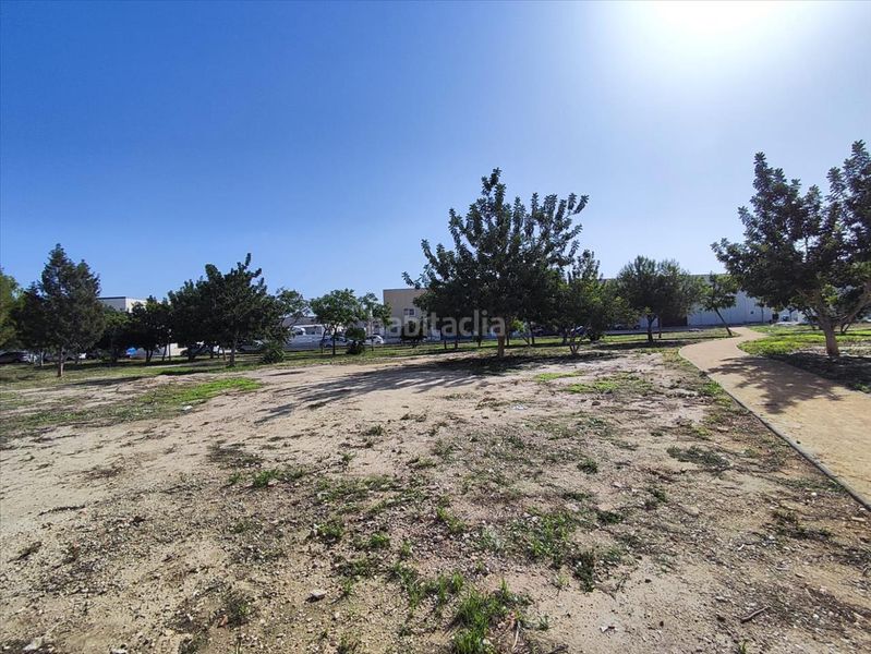 Foto 0f1ebc81-f9bf-4249-a140-04dfff277eb9. Pis a Almoradí