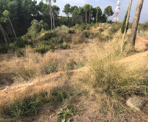 Residential Plot  Calle b cerdera alta