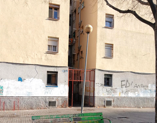Pis  Caceres