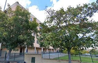 Appartement  Alcalde fernandez de troc