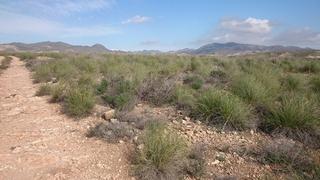 Terreno residenziale  Paraje la majada blanca