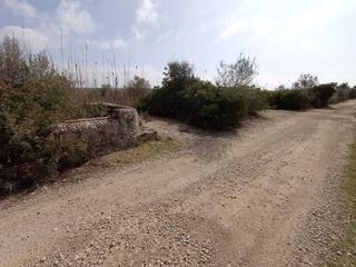Terreny residencial  S. albufera