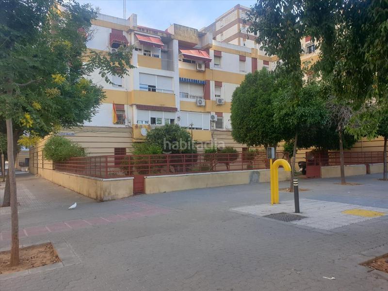 Foto dbae6e5b-c4dc-4e29-ae05-8ed9f652c6e5. Pis a Villegas Sevilla