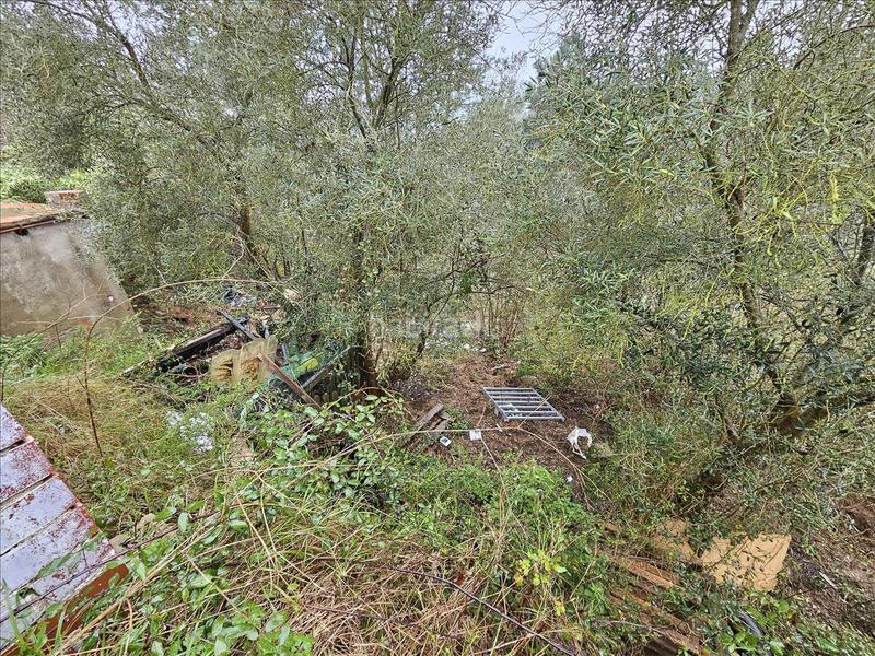 Foto 1fde59be-bcd0-4923-a68e-875bd7efa8ab. Casa en Riudarenes