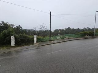 House  Espígol