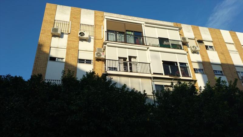 Foto 4e163950-70a5-4bcf-8dc4-79bc63c1b311. Pis a Villegas Sevilla