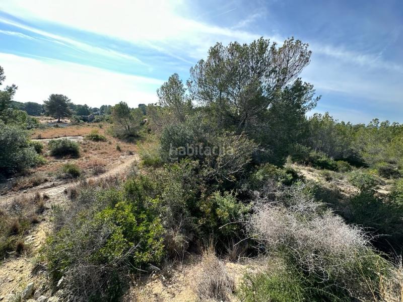 Foto 17e38112-e6df-4ba2-8b46-5ce1a1085b8e. Terreno residencial en Altafulla