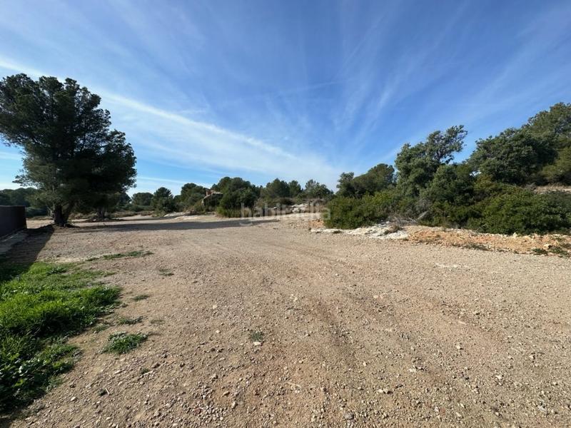 Foto 1a144d00-17af-4090-bafc-5f7f120dda7d. Terreno residencial en Altafulla