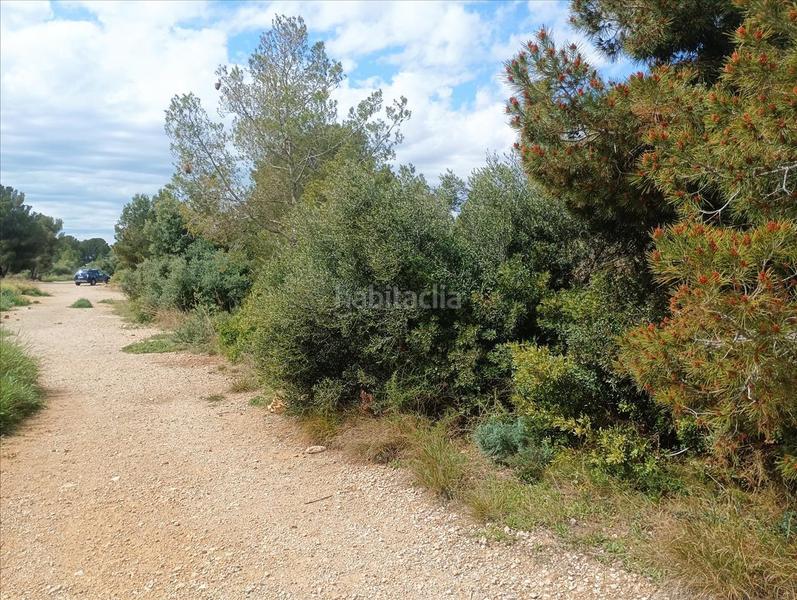 Foto 2c8ba9d6-2ee5-4cd1-a45d-28f13658ea65. Terreno residencial en Altafulla