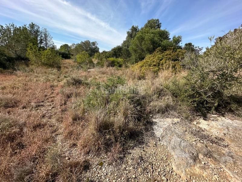 Foto 3a770e03-4c96-4930-b0c2-f88f06c007a5. Terreno residencial en Altafulla