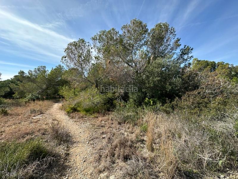 Foto 5ab39032-ee5b-47cb-ad69-c530a5830845. Terreno residencial en Altafulla