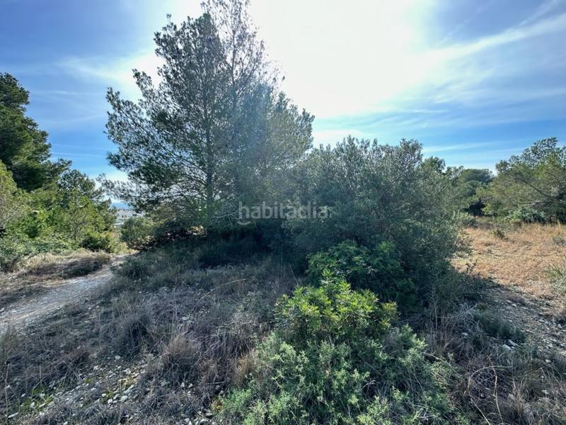 Foto 608b0c5b-bc62-43b3-bb28-a11bd5a8a2f8. Terreno residencial en Altafulla