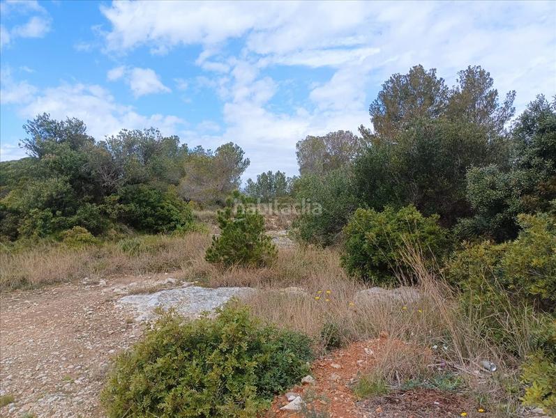 Foto bcb47101-1d15-4f0d-9c36-78ae32f327f3. Terreno residencial en Altafulla