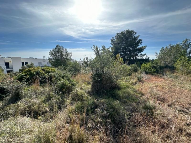 Foto cb37354d-c556-415f-b7b1-066c9911c4ae. Terreno residencial en Altafulla