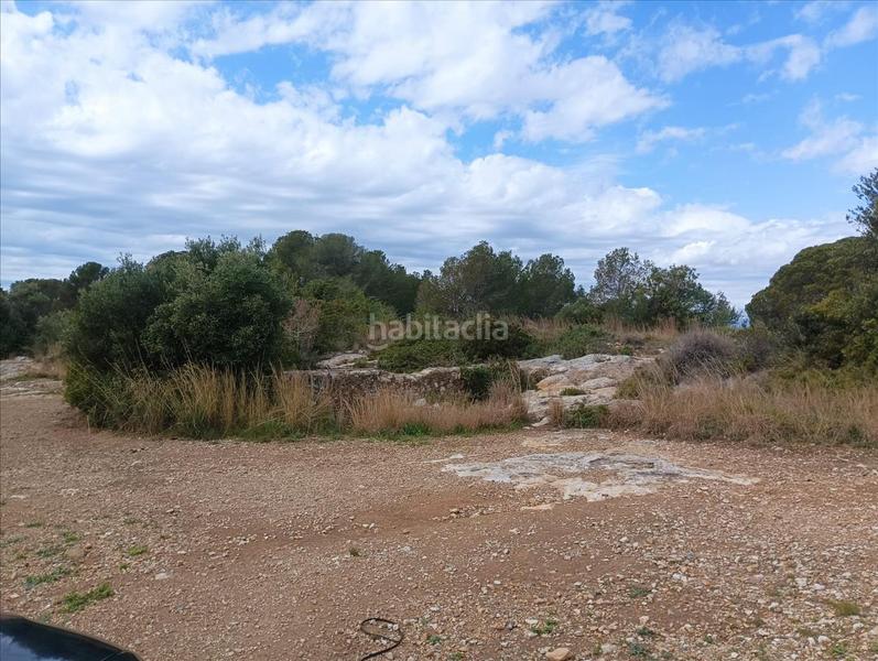 Foto f7422277-2bd9-4b75-b2ee-3a69f96655c2. Terreno residencial en Altafulla