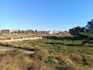 Terreny residencial  Cervantes