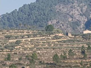 Wohngrundstück in Polígono 37