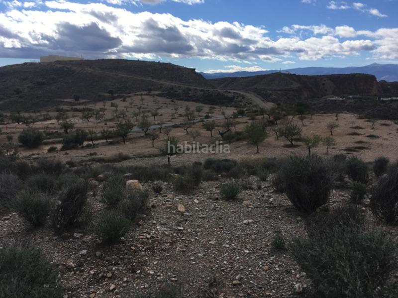 Foto 13e19007-3734-4152-858c-02141fb410ea. Wohngrundstück in Albox