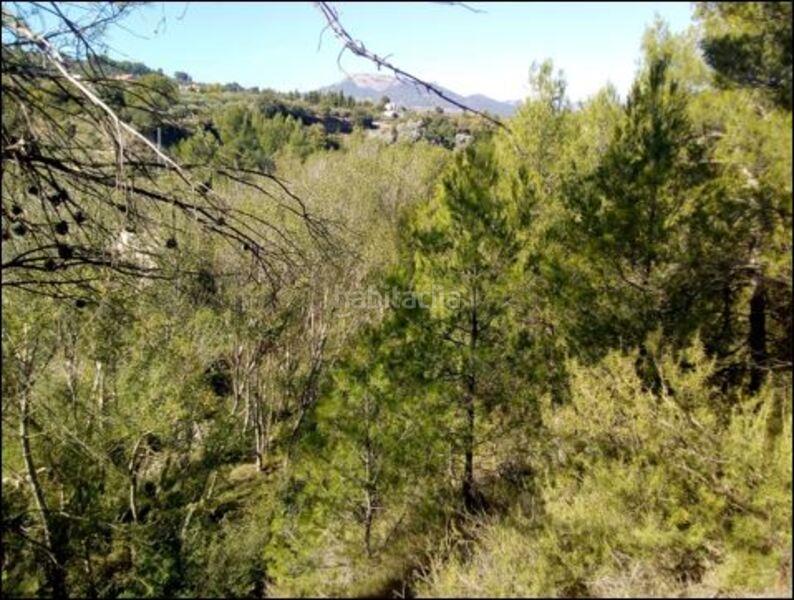 Foto 0f12cea8-c99e-4c0b-b6f2-b5c93f97b128. Terreno residenziale in Penàguila