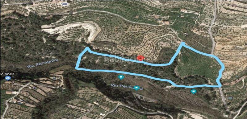 Foto 23430eb9-a3ad-46fd-9e2e-811f1ce8e4c3. Terreno residenziale in Penàguila