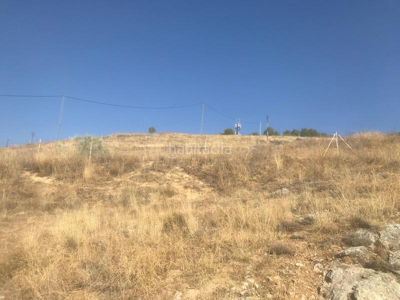 Foto 5b0fa95a-4799-4057-a521-2bd65cb08ad6. Terreno residencial en Molar (El)