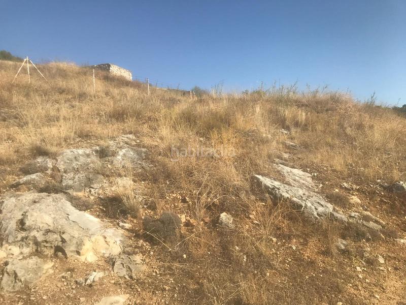 Foto 6cbd9c0a-8586-460e-bdd2-8fe3f7cfd110. Terreno residencial en Molar (El)