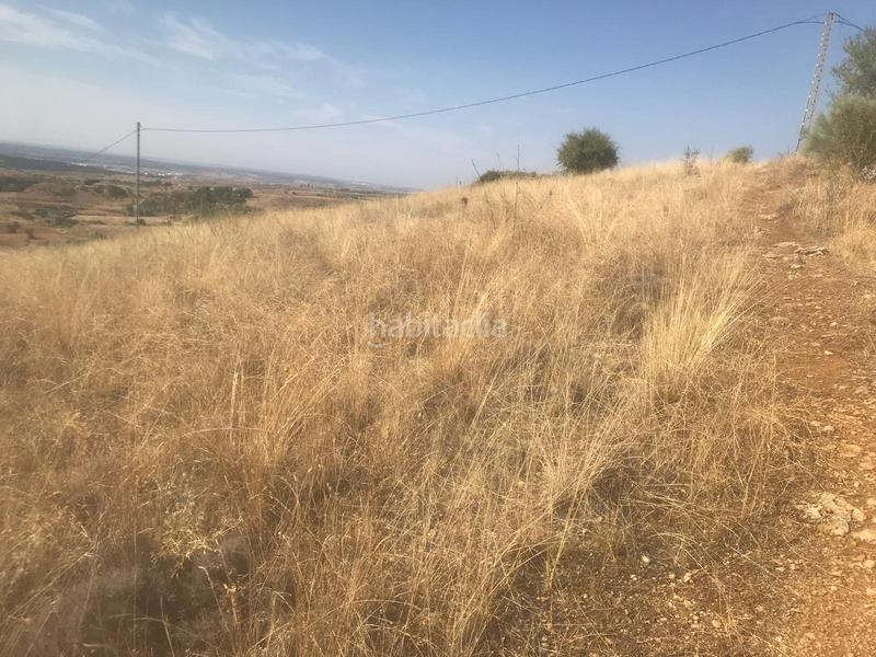 Foto bfcb67ab-f2e0-41e0-aaaa-7764e56f22e6. Terreno residencial en Molar (El)