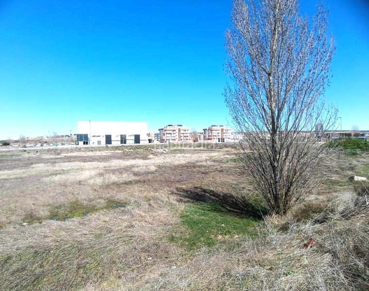 Foto 69bfc1f9-9654-4e63-89ad-959bbcd200a5. Terreny residencial a Sónsoles Ávila
