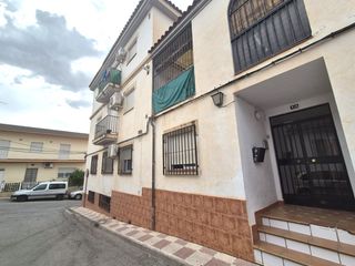 Piso  Codorniz