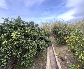 Terreny residencial  Clot de la torre