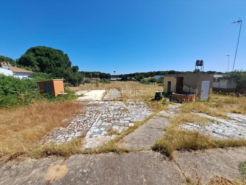 Foto 84712273-60a3-4370-b818-a24805d8cc16. Casa amb aparcament a Bonares