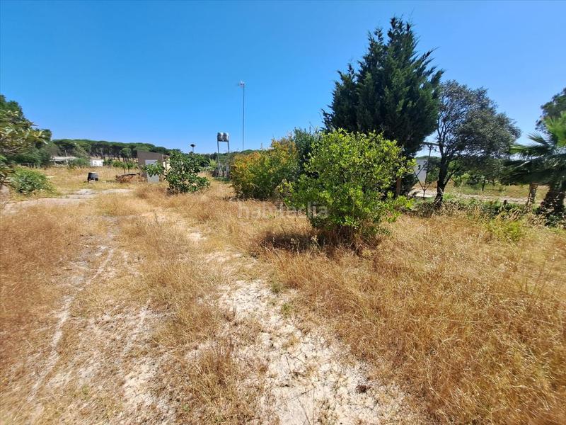 Foto b3e7b4d9-cf6a-4dd8-88ec-a2da8d7771db. Maison avec parking dans Bonares