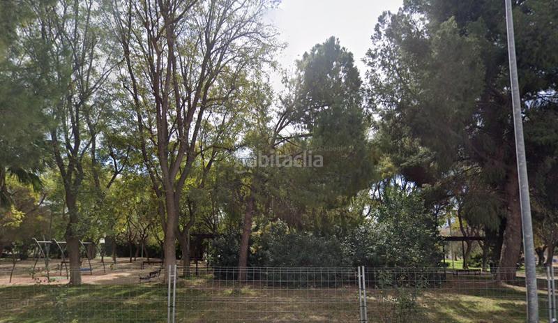 Foto 5e14b6a2-c1c8-4c8f-9244-13a02cbc8458. Pis a Cieza