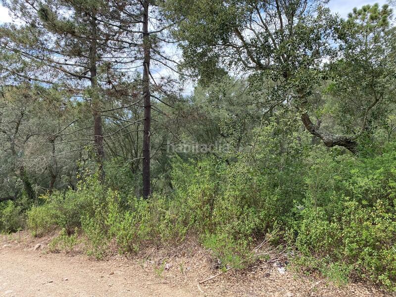 Foto 2eb2e982-99c5-4380-9eac-436f3e190360. Residential plot in Mas Pere-Río de Oro Calonge