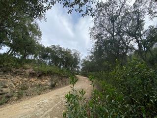 Residential Plot  Nou carrer
