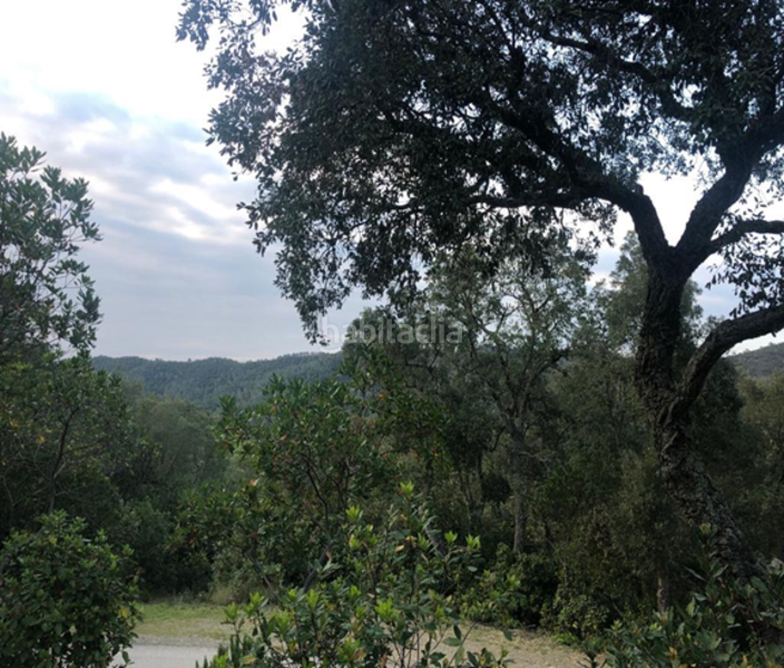 Foto c4744e70-19fb-4392-ba00-cdab491a256a. Residential plot in Mas Pere-Río de Oro Calonge