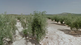 Terreno residenziale  Torredonjimeno